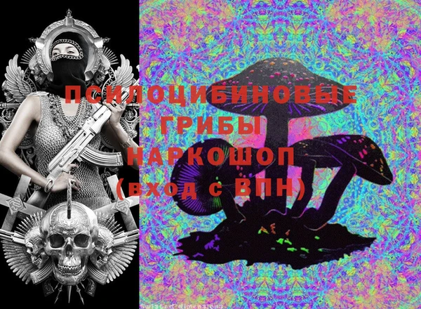 тгк Алзамай